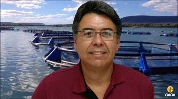 Almeida Jr.  quer ampliar jornada de trabalho dos vereadores de Paulo Afonso 