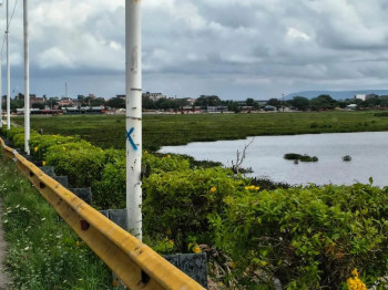 Alface-d'água invadiram a região da PA4 e a prainha de Paulo Afonso