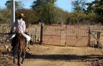 Os produtores fazem malabarismo para sobreviver à seca 