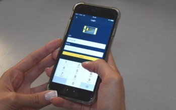 CNH digital na Bahia será lançada até o final do mês, segundo o Detran-BA 