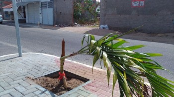 Moradores e comerciantes do local afirmam que os atos de vandalismo são comuns nos fins de semana.
