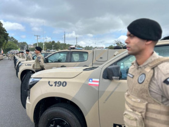 Somente neste ano, 989 veículos foram destinados às Forças da Segurança.