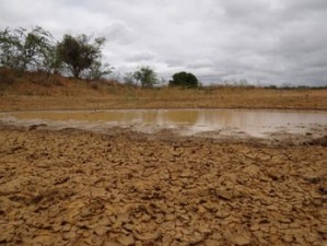 Seca castiga o Sertão pernambucano