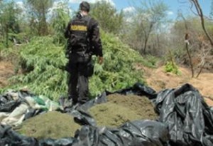 Ações aconteceram em Juazeiro, Curaça, Abaré e Chorrochó. 