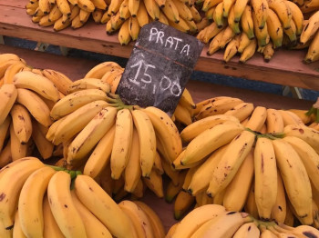 Dúzia da banana ser cotada em $17